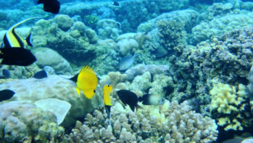 Pemprov Sulut Gandeng UNWTO untuk Kembangkan Pariwisata