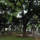 Taman Suropati Tempat Favorit Ngabuburit Warga Jakarta