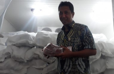 Bulog Sumsel Babel Siap Salurkan 215 Ton Daging Kerbau Beku