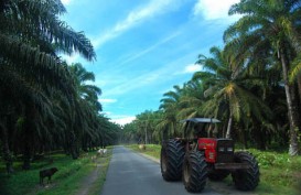 27 Lokasi Ditetapkan Jadi Jalan Perkebunan di MukoMuko
