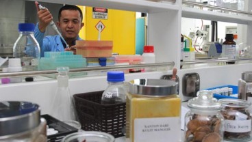 LIPI Kembangkan Bahan Baku Farmasi dari Tanaman Obat