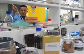 LIPI Kembangkan Bahan Baku Farmasi dari Tanaman Obat