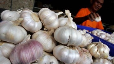 Stok Lama Menumpuk, Harga Bawang Putih Masih Mahal