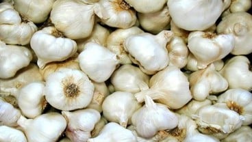 Pemkot Semarang Minta Pasar Modern Turunkan Harga Bawang Putih