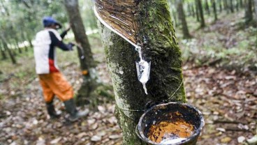 Harga Karet Fluktuatif, Investor Tunggu Respons China