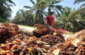 PKS Eagle High Plantations (BWPT) Raih RSPO