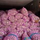 Jadi Sumber Impor, Berapa Harga Bawang Putih di China?