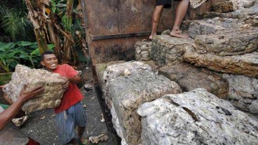 Harga Karet Melemah, Investor Khawatirkan Perang Dagang