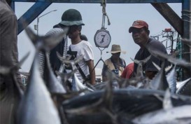 Tingkat Konsumsi Ikan di Jateng Masih Rendah