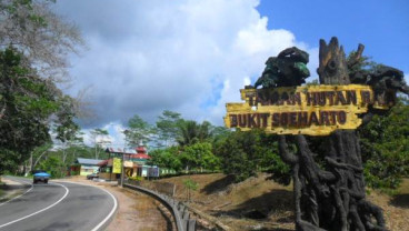 Persiapan Ibu Kota Baru, Bukit Soeharto Akan Direvitalisasi