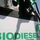 Mitsubishi Fuso Minta Biodiesel Standar Euro 4