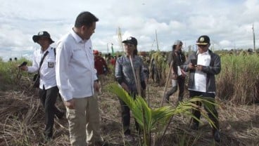 BRG Siapkan Paket Bantuan Revitalisasi Ekonomi Mappi & Merauke