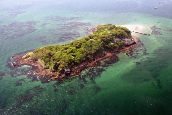 Pulau Sarushima, sebuah pulau terpencil di Teluk Tokyo./Istimewa