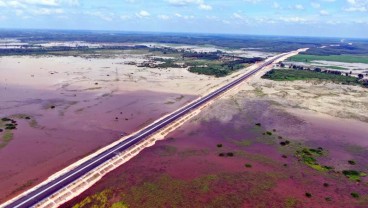 Ada 6 Jalur Perlintasan Gajah di Tol Pekanbaru-Dumai