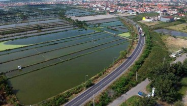 KESIAPAN JALAN TOL : Mudik dan Euforia Trans-Jawa