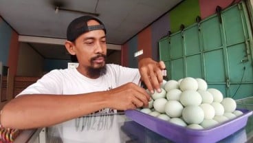 TIM JELAJAH JAWA BALI 2019 : Pantura Kian Ramai, Penjual Oleh-Oleh Di Brebes Berharap Panen