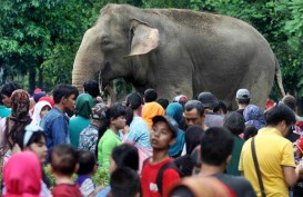 JELAJAH LEBARAN JAWA–BALI 2019: Pengelola Tempat Wisata Perlu Waspada Peningkatan Pengunjung