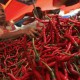 Harga Cabai Merah di Makassar Capai Rp70.000 per Kg