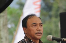 Cara Indonesia Agar Tetap Terbebas Sindrom Kematian Dini Udang