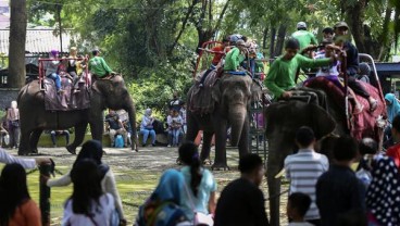 Lebaran, 11 Atraksi Siap Hibur Pengunjung Kebun Binatang Surabaya