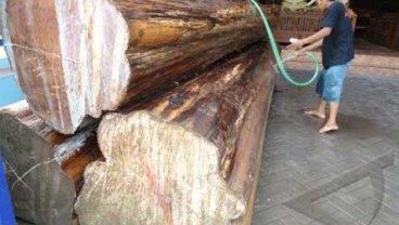 Penguatan Sistem Verifikasi Untuk Menekan Pembalakan Liar