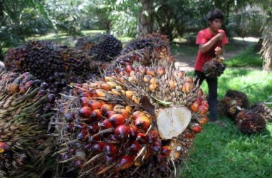 Kinerja Grup Salim Dibayangi Harga CPO Global