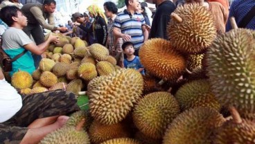 LIBUR LEBARAN : Pemudik Serbu Pedagang Durian di Pesisir Selatan