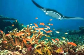 Objek Wisata di Kaltim Kekurangan Fasilitas SPBU