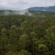 Teknik Silin Mampu Jaga Kualitas Tutupan Lahan Hutan Alam