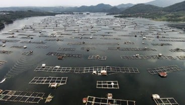 Wisata Minat Khusus Waduk Jatiluhur Bakal Dikembangkan