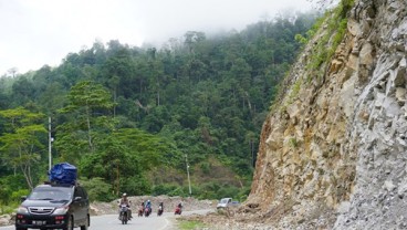 Jalur Kebun Kopi Sulteng Mulai Normal