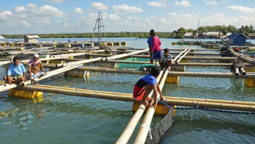 Investor AS Tanam US$50 Juta untuk Budidaya Perikanan Laut di Sulut