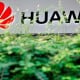 KABAR GLOBAL 18 JUNI: Semua Tertuju pada Bank Sentral, Pendapatan Huawei Berpotensi Turun