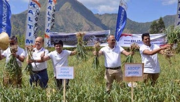 Kementan Bantah Bawang Putih Mahal Karena Wajib Tanam