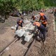 Musabab Pembangunan Rel Kereta Api Bisa Gagal Capai Target