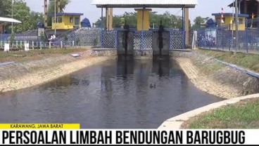 Bendungan Barugbug Karawang Tercemar Limbah Industri