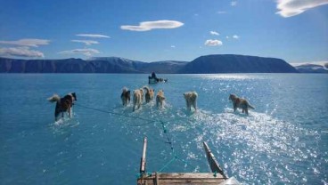 Suhu Meningkat, Lapisan Es di Greenland Mencair Tidak Lazim