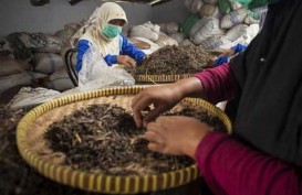 Upaya Mendorong Industri Jamu di Indonesia