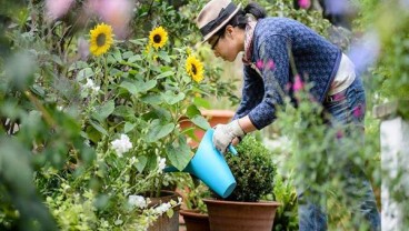 Ini Manfaat Aktivitas Berkebun Bagi Kesehatan Mental