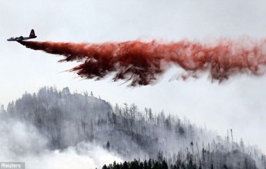 Pesawat Jatuh di Hawaii, 11 Orang Tewas