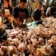 Harga Ayam Anjlok, Peternak Protes dengan Bagikan Gratis 5.000 Ayam