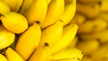 Buah Pisang Laris Manis di China, Ini Penyebabnya