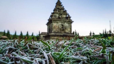 Suhu Minus Tujuh Derajat Celcius, Dataran Tinggi Dieng Membeku