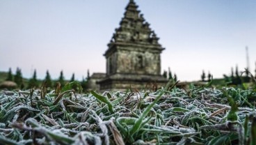 Ini Penjelasan Ilmiah Embun Beku Dieng dan Foto Eksotisnya