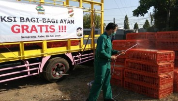 Sekitar 11.500 Ayam Broiler Dibagikan di Semarang