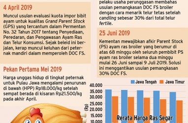 Berharap Pengurangan Produksi Membuat Peternak Ayam Kembali Tersenyum