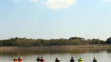 Waduk Kembangan Mengering Jadi Lokasi Pesta Pemburu Ikan