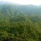 Papua Barat Bakal Wujudkan Kawasan Hutan Konservasi 70 Persen