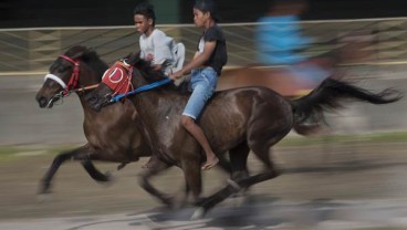 Parade 1001 Kuda Sandelwood Dihelat 11 Juli 2019