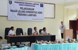 Pasar Lelang Komoditas Agro Digelar di Lampung Barat